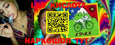 крисы Будённовск