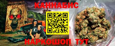 крисы Будённовск