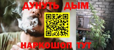 крисы Будённовск