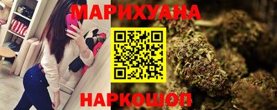 крисы Будённовск