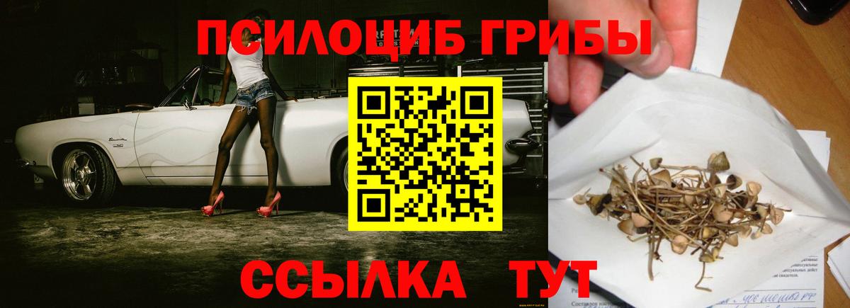 Псилоцибиновые грибы ЛСД Протвино